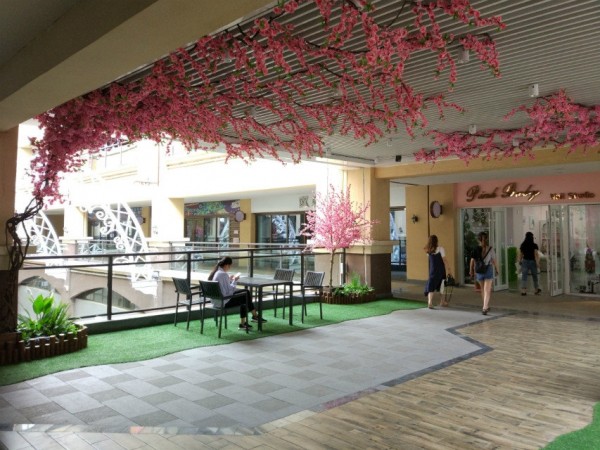 日照頤高桃花展