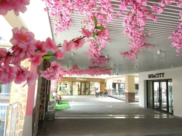 日照頤高桃花展