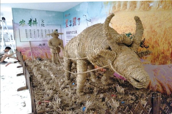 日照和諧廣場·麥子熟了文化展